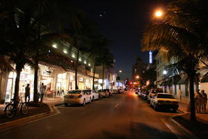 artificial lighting, car, eye level view, Florida, light, Miami, night, object, palm, retail, road, The United States, transport, vegetation