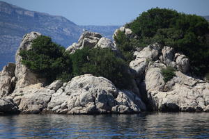 coastline, Croatia, day, eye level view, seascape, summer, tree, vegetation