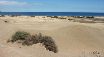 beach, Canarias, day, direct sunlight, dunes, eye level view, Las Palmas de Gran Canaria, sand dune, Spain, spring, sunny