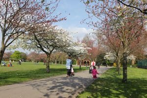 alley, blooming, blossom, children, day, deciduous, England, eye level view, grass, London, mother and child, park, spring, sunny, The United Kingdom, tree