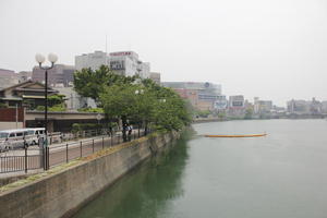 ambient light, cityscape, day, diffuse, diffused light, eye level view, Fukuoka, Fukuoka, Japan, lamppost, natural light, overcast, river, spring, tree