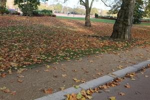 afternoon, autumn, Battersea park, day, England, eye level view, leaf, London, park, The United Kingdom