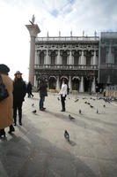 bird, building, day, eye level view, group, Italia , pavement, people, Piazza San Marco, pidgeons, square, Veneto, Venice, winter