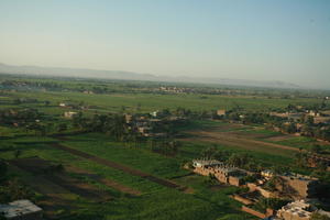 aerial view, building, dusk, East Timor, Egypt, Egypt, palm, tree, vegetation