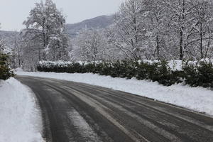 ambient light, bush, day, diffuse, diffused light, eye level view, Italia , morning, natural light, overcast, plant, road, snow, tree, Veneto, winter