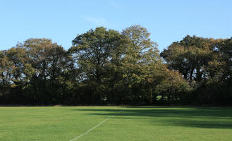 day, England, eye level view, grass, London, natural light, park, sunny, The United Kingdom, tree