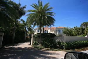 day, eye level view, Florida, garden, house, Miami, natural light, palm, sunny, The United States, tropical, vegetation, winter