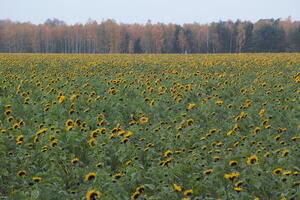 Poland, Wielkopolskie