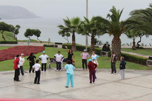 day, diffuse, diffused light, elderly, elevated, group, Lima, palm, people, Peru, Phoenix canariensis, square, standing