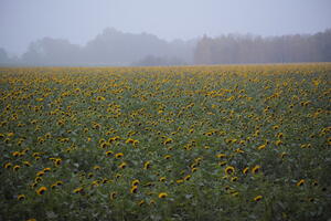 Poland, Wielkopolskie