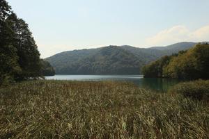 Croatia, day, eye level view, Karlovacka, lake, mountain, reed, sunny, tree, vegetation