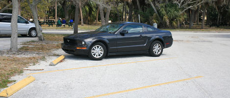 car, day, eye level view, Florida, parking, sunny, Tampa, The United States, transport