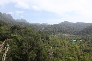 day, elevated, forest, Kedah, Malaysia, mountain, sunny, vegetation