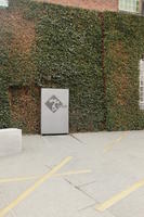 Copenhagen , day, Denmark, eye level view, ivy, Kobenhavn, pavement, sunny, winter