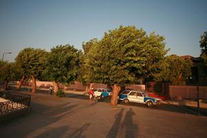 car, day, dusk, East Timor, Egypt, Egypt, eye level view, natural light, street, tree, vegetation