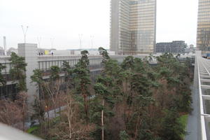 coniferous, day, elevated, facade, France, glass, Ile-De-France, natural light, office building, overcast, Paris, park, tree, winter