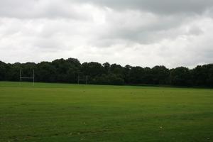 day, England, eye level view, field, grass, London, natural light, The United Kingdom, vegetation