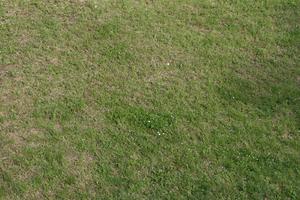 above, Croatia, day, grass, Istarska, lawn, natural light, Pula