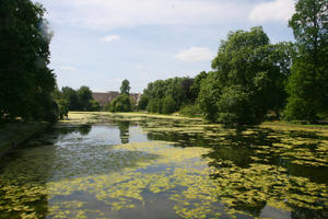 broad-leaf tree, broad-leaved tree, day, England, eye level view, lake, London, park, summer, sunny, The United Kingdom, tree