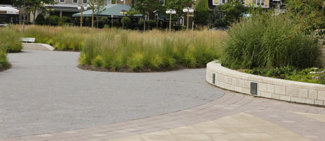 Canada, day, diffuse, diffused light, eye level view, grass, Ontario, Ottawa, pavement, summer