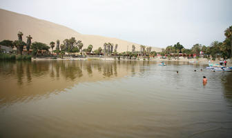 day, desert, direct sunlight, eye level view, Ica, Peru, pond, spring, sunlight, sunny, sunshine, vegetation