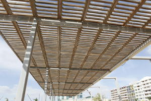 Canarias, canopy, day, eye level view, looking up, Spain, summer, sunny