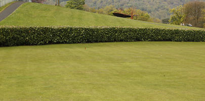 cloudy, day, eye level view, grass, hedge, lawn, noon, overcast, park, Scotland, spring, The United Kingdom