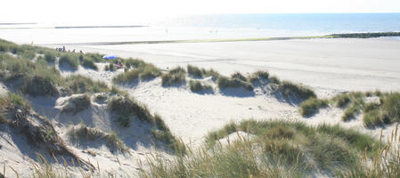 beach, Belgium, day, dunes, elevated, grass, summer, sunny