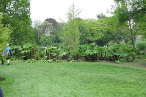 day, England, eye level view, garden, grass, natural light, park, plant, The United Kingdom, Woking