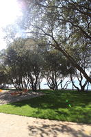 Croatia, day, eye level view, playground, see-saw, summer, sunlight, sunny, sunshine, tree, vegetation, Zadarska