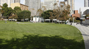 autumn, California, day, eye level view, grass, park, San Francisco, sunny, The United States