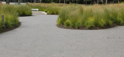 Canada, day, diffuse, diffused light, eye level view, grass, Ontario, Ottawa, pavement, summer