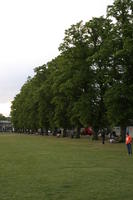 afternoon, Cambridge, day, England, eye level view, grass, lawn, park, spring, The United Kingdom, tree, vegetation