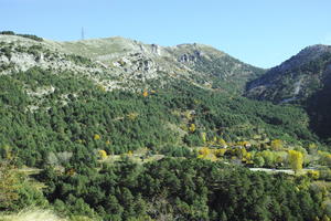 autumn, bright, day, elevated, forest, France, mountain, Provence Alpes Cote D