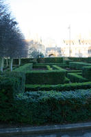 dusk, England, eye level view, garden, hedge, Oxford, The United Kingdom, vegetation, winter