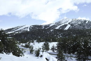 coniferous, day, diffuse, diffused light, elevated, evergreen, France, Greolieres, Provence Alpes Cote D