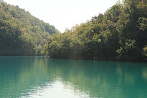 Croatia, day, eye level view, forest, Karlovacka, lake, mountain, sunny, tree, vegetation