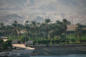 boat, day, East Timor, Egypt, Egypt, elevated, natural light, palm, river, tree, vegetation