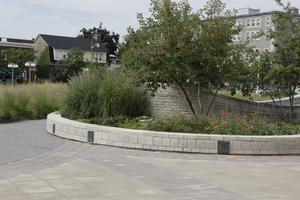 bush, Canada, day, diffuse, diffused light, eye level view, Ontario, Ottawa, pavement, shrub, summer, tree