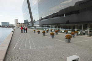 Copenhagen , day, Denmark, eye level view, facade, glass, Kobenhavn, overcast, pavement, potted plant, winter