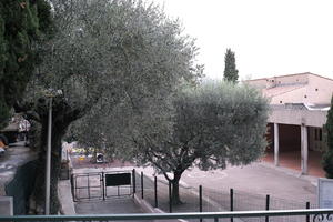 cloudy, day, elevated, eye level view, France, olive, overcast, playground, Provence Alpes Cote D