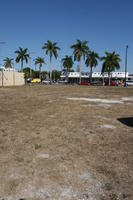 day, eye level view, Florida, grass, Miami, palm, sunny, The United States, winter