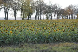 Poland, Wielkopolskie