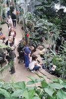 above, day, England, family, garden, group, natural light, park, people, plant, The United Kingdom, Woking