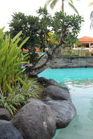 Bali, day, eye level view, garden, hotel, Indonesia, plant, pool, resort, shrub, summer, sunny, tree, tropical