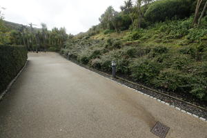 autumn, bush, day, diffuse, diffused light, Eden Project, England, eye level view, garden, path, shrub, The United Kingdom