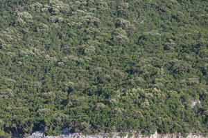 Croatia, Croatia, day, eye level view, hill, sunny, tree, vegetation