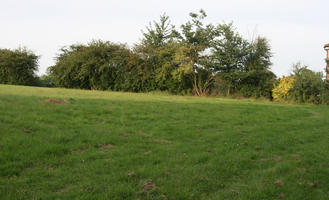 day, England, eye level view, grass, London, park, summer, sunny, The United Kingdom, treeline