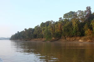 afternoon, Brunei, day, eye level view, forest, river, summer, sunny, treeline, tropical