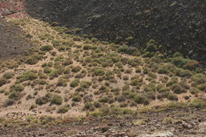 Canarias, day, elevated, hill, Las Palmas, mountain, shrubbery, shrubland, Spain, summer, sunny